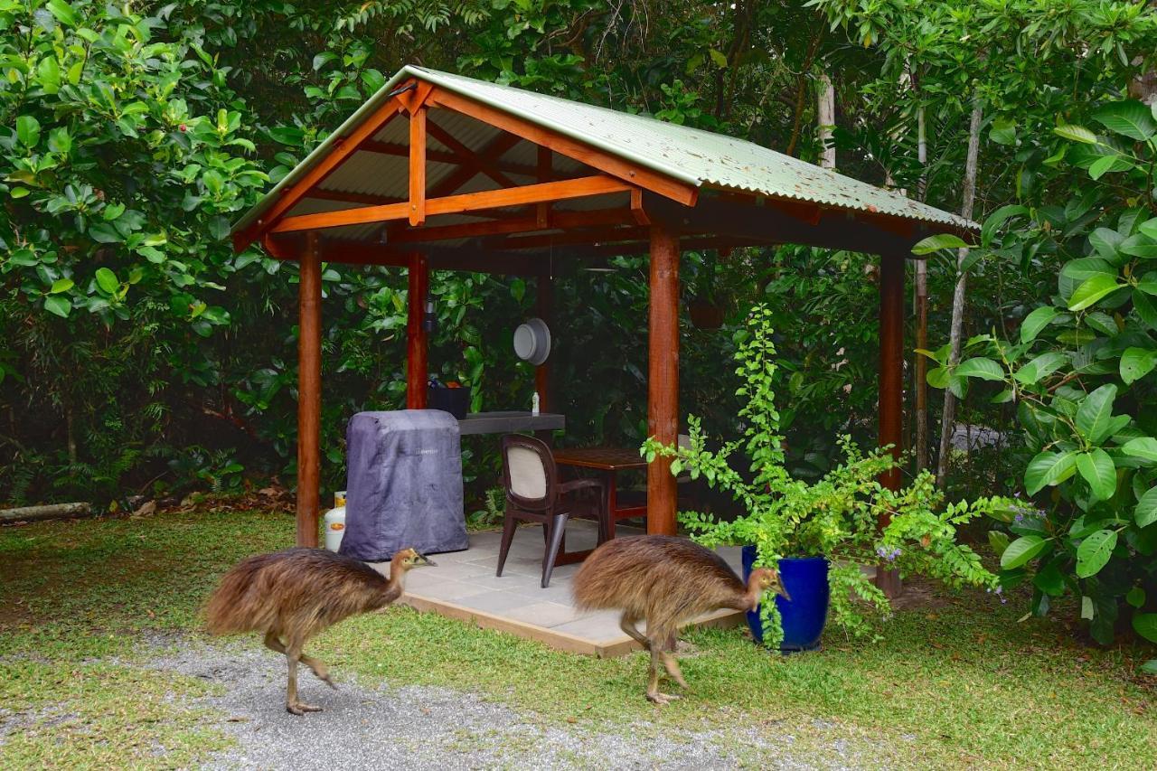 Thornton Beach Bungalows Daintree Кейп Трибулейшън Екстериор снимка